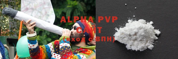 спиды Покачи