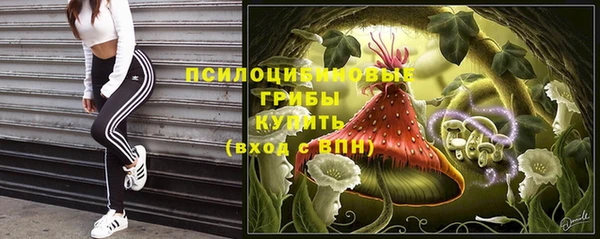 спиды Покачи