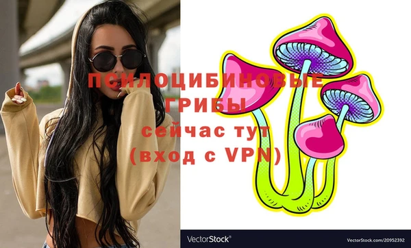стаф Покров