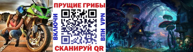 hydra   Весьегонск  Псилоцибиновые грибы Psilocybe 