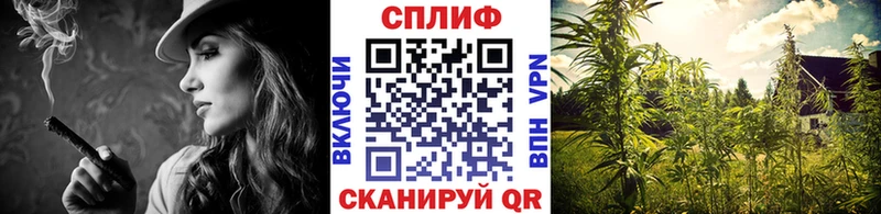Бошки Шишки AK-47  MEGA ССЫЛКА  Весьегонск 
